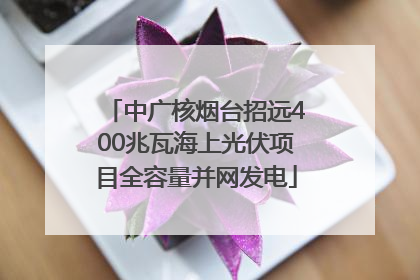 中广核烟台招远400兆瓦海上光伏项目全容量并网发电
