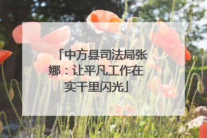 中方县司法局张娜：让平凡工作在实干里闪光