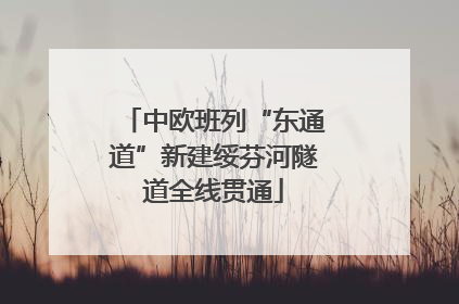 中欧班列“东通道”新建绥芬河隧道全线贯通