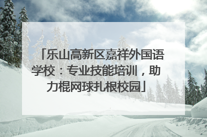 乐山高新区嘉祥外国语学校：专业技能培训，助力棍网球扎根校园