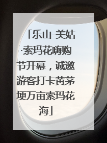 乐山-美姑·索玛花嗨购节开幕，诚邀游客打卡黄茅埂万亩索玛花海
