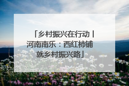 乡村振兴在行动丨河南南乐：西红柿铺就乡村振兴路