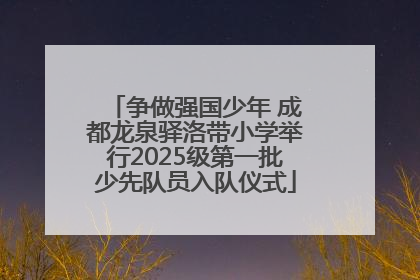 争做强国少年 成都龙泉驿洛带小学举行2025级第一批少先队员入队仪式