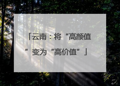 云南：将“高颜值”变为“高价值”