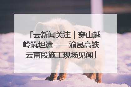 云新闻关注｜穿山越岭筑坦途——渝昆高铁云南段施工现场见闻
