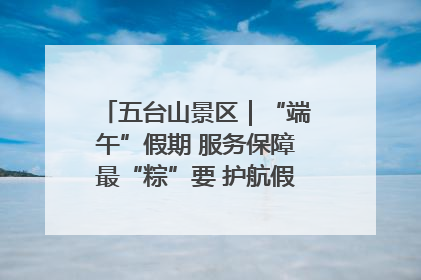 五台山景区｜“端午”假期 服务保障最“粽”要 护航假期“不打烊”