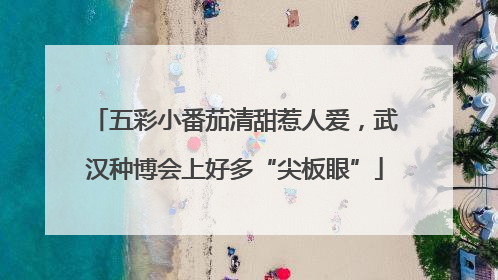 五彩小番茄清甜惹人爱,武汉种博会上好多“尖板眼”