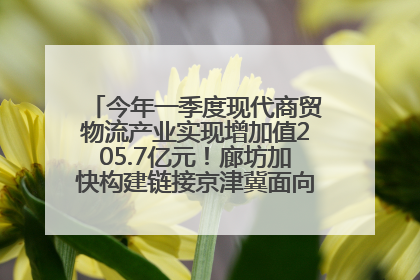 今年一季度现代商贸物流产业实现增加值205.7亿元！廊坊加快构建链接京津冀面向全世界的物流通道