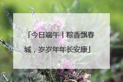 今日端午丨粽香飘春城，岁岁年年长安康