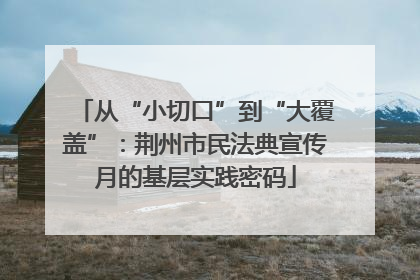 从“小切口”到“大覆盖”：荆州市民法典宣传月的基层实践密码