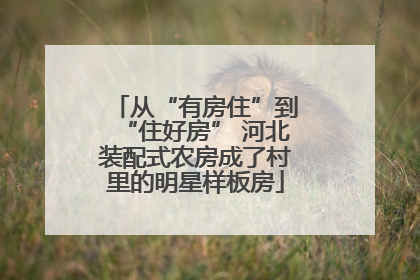 从“有房住”到“住好房” 河北装配式农房成了村里的明星样板房