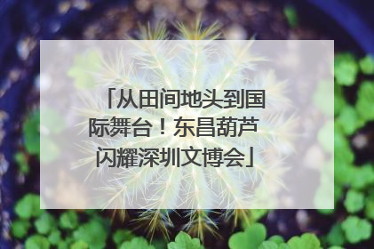 从田间地头到国际舞台！东昌葫芦闪耀深圳文博会