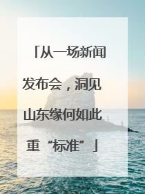从一场新闻发布会，洞见山东缘何如此重“标准”