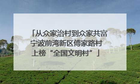 从众家治村到众家共富 宁波前湾新区傅家路村上榜“全国文明村”