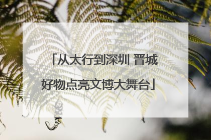 从太行到深圳 晋城好物点亮文博大舞台