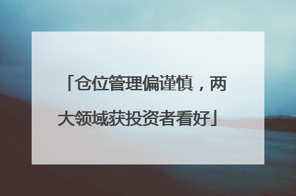 仓位管理偏谨慎，两大领域获投资者看好