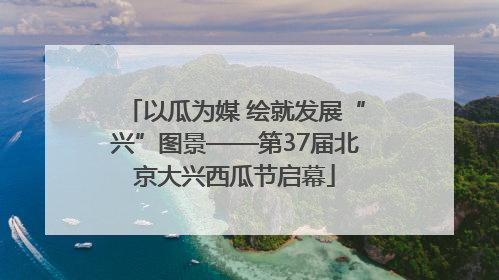 以瓜为媒 绘就发展“兴”图景——第37届北京大兴西瓜节启幕