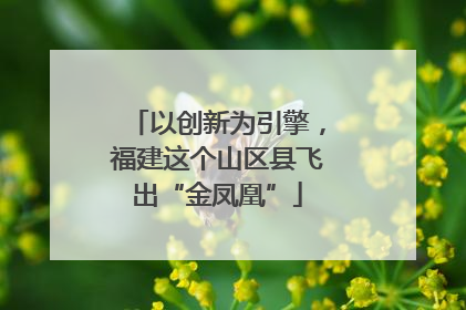 以创新为引擎，福建这个山区县飞出“金凤凰”