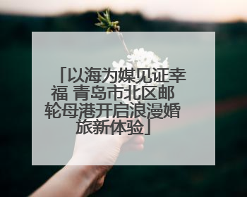 以海为媒见证幸福 青岛市北区邮轮母港开启浪漫婚旅新体验