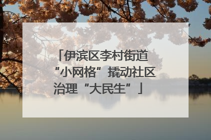 伊滨区李村街道 “小网格”撬动社区治理“大民生”