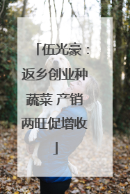 伍光豪：返乡创业种蔬菜 产销两旺促增收