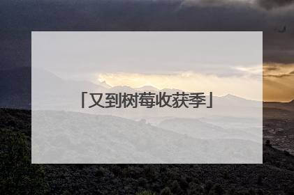 又到树莓收获季