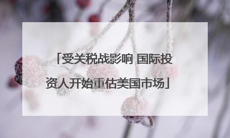受关税战影响 国际投资人开始重估美国市场