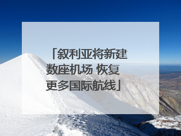 叙利亚将新建数座机场 恢复更多国际航线