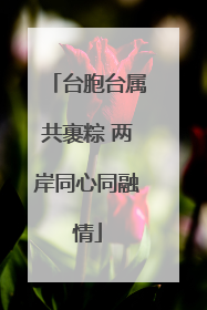 台胞台属共裹粽 两岸同心同融情