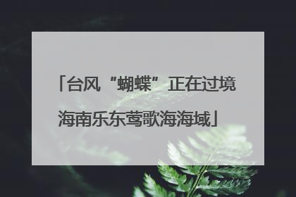 台风“蝴蝶”正在过境海南乐东莺歌海海域