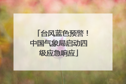 台风蓝色预警！中国气象局启动四级应急响应