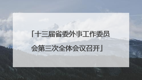 十三届省委外事工作委员会第三次全体会议召开