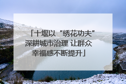 十堰以“绣花功夫”深耕城市治理 让群众幸福感不断提升