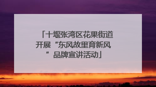 十堰张湾区花果街道开展“东风故里育新风”品牌宣讲活动