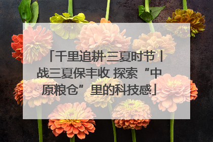 千里追耕·三夏时节丨战三夏保丰收 探索“中原粮仓”里的科技感