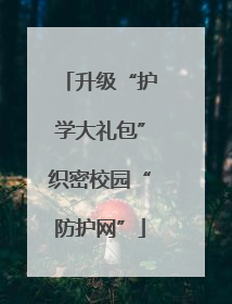 升级“护学大礼包”织密校园“防护网”