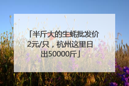 半斤大的生蚝批发价2元/只，杭州这里日出50000斤