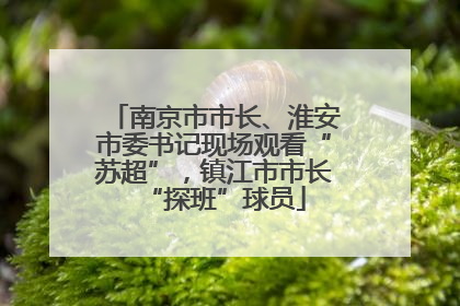 南京市市长、淮安市委书记现场观看“苏超”，镇江市市长“探班”球员