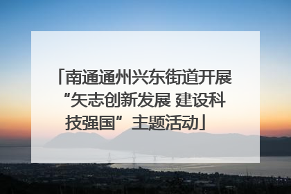 南通通州兴东街道开展“矢志创新发展 建设科技强国”主题活动
