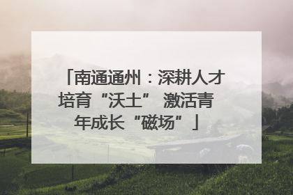 南通通州：深耕人才培育“沃土” 激活青年成长“磁场”