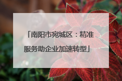 南阳市宛城区：精准服务助企业加速转型