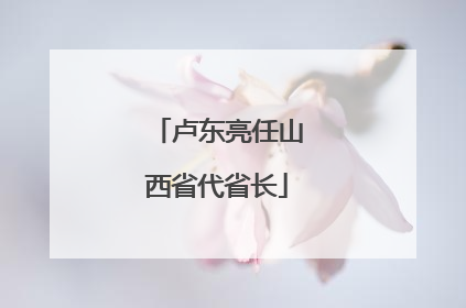 卢东亮任山西省代省长