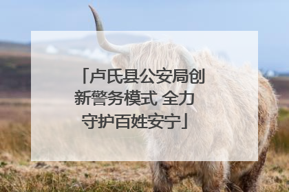 卢氏县公安局创新警务模式 全力守护百姓安宁