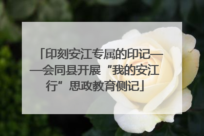 印刻安江专属的印记——会同县开展“我的安江行”思政教育侧记