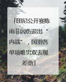 印尼公开赛陈雨菲因伤退出“内战”，国羽各单项唯男双表现差劲