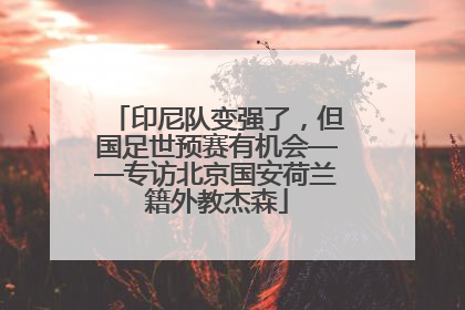 印尼队变强了，但国足世预赛有机会——专访北京国安荷兰籍外教杰森
