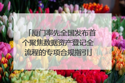 厦门率先全国发布首个聚焦数据资产登记全流程的专项合规指引