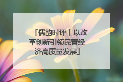 儒韵时评丨以改革创新引领民营经济高质量发展
