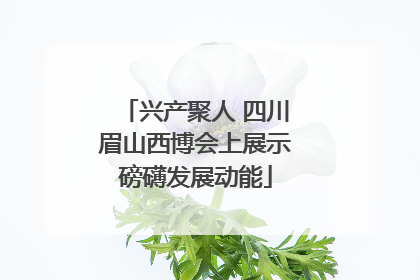 兴产聚人 四川眉山西博会上展示磅礴发展动能