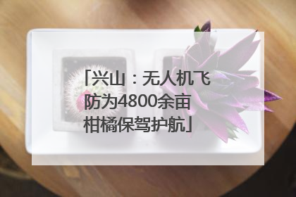 兴山：无人机飞防为4800余亩柑橘保驾护航